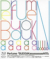 Ｐｅｒｆｕｍｅ「 Ｐｅｒｆｕｍｅ『ＢＵＤＯＵＫａａａａａａａａａａＮ！！！！！』」