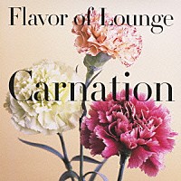 （Ｖ．Ａ．）「 Ｆｌａｖｏｒ　ｏｆ　Ｌｏｕｎｇｅ　－Ｃａｒｎａｔｉｏｎ－」