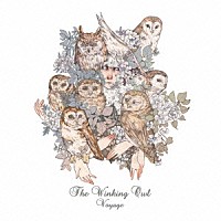 Ｔｈｅ　Ｗｉｎｋｉｎｇ　Ｏｗｌ「 Ｖｏｙａｇｅ」