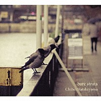 Ｃｈｉｈｅｉ　Ｈａｔａｋｅｙａｍａ「 ｂａｒｅ　ｓｔｒａｔａ」