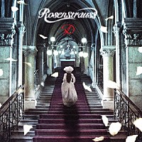 Ｄ「 Ｒｏｓｅｎｓｔｒａｕｓｓ」