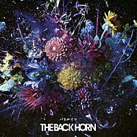 ＴＨＥ　ＢＡＣＫ　ＨＯＲＮ「 バトルイマ」