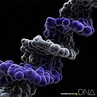 ＭＯＮＫＥＹ　ＭＡＪＩＫ「 ＤＮＡ」