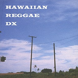 （Ｖ．Ａ．） テン・フィート フィージー　ｆｅａｔ．Ｊブーグ ハワイアン・スタイル・バンド フィージー カラエロア アヌヘア スリー・プラス「ＨＡＷＡＩＩＡＮ　ＲＥＧＧＡＥ　ＤＸ」