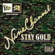 ＮＩＮＥ　ＣＨＡＮＮＥＬ「ＮＩＮＥ　ＣＨＡＮＮＥＬ　ＡＬＬ　ＤＵＢＰＬＡＴＥ　ＭＩＸ３　－ＳＴＡＹ　ＧＯＬＤ－」