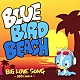 ＢＬＵＥ　ＢＩＲＤ　ＢＥＡＣＨ「ＢＩＧ　ＬＯＶＥ　ＳＯＮＧ　～ＢＢＢ　Ｃｏｖｅｒｓ～」