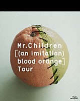 Ｍｒ．Ｃｈｉｌｄｒｅｎ「 ［（ａｎ　ｉｍｉｔａｔｉｏｎ）　ｂｌｏｏｄ　ｏｒａｎｇｅ］Ｔｏｕｒ」