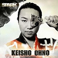 大野敬正「 ＳＰＡＲＫ」