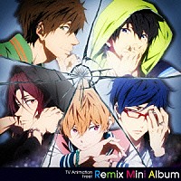 ＳＴＹＬＥ　ＦＩＶＥ「 ＴＶ　Ａｎｉｍａｔｉｏｎ　Ｆｒｅｅ！　Ｒｅｍｉｘ　Ｍｉｎｉ　Ａｌｂｕｍ」