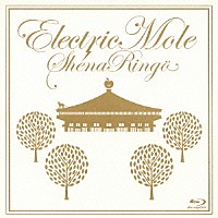 椎名林檎「 Ｅｌｅｃｔｒｉｃ　Ｍｏｌｅ」