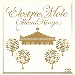 椎名林檎「Ｅｌｅｃｔｒｉｃ　Ｍｏｌｅ」