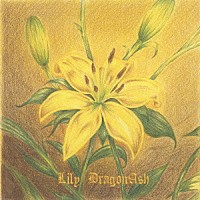 Ｄｒａｇｏｎ　Ａｓｈ「 Ｌｉｌｙ」