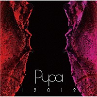 １２０１２「 １２０１２　Ｐｕｐａ　２００７～２０１０」