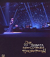 柴田淳「 柴田淳　ＣＯＮＣＥＲＴ　ＴＯＵＲ２０１３　月夜ＰＡＲＴＹ　ｖｏｌ．４」