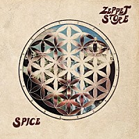 ＺＥＰＰＥＴ　ＳＴＯＲＥ「 ＳＰＩＣＥ」