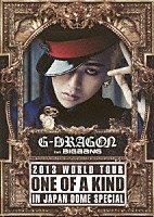 Ｇ－ＤＲＡＧＯＮ（ｆｒｏｍ　ＢＩＧＢＡＮＧ）「 Ｇ－ＤＲＡＧＯＮ　２０１３　ＷＯＲＬＤ　ＴＯＵＲ　ＯＮＥ　ＯＦ　Ａ　ＫＩＮＤ　ＩＮ　ＪＡＰＡＮ　ＤＯＭＥ　ＳＰＥＣＩＡＬ」