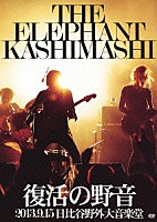 エレファントカシマシ「 復活の野音　２０１３．９．１５　日比谷野外大音楽堂」