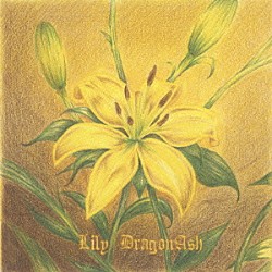 Ｄｒａｇｏｎ　Ａｓｈ「Ｌｉｌｙ」