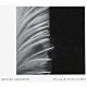 ＲＹＵＩＣＨＩ　ＳＡＫＡＭＯＴＯ「ＲＹＵＩＣＨＩ　ＳＡＫＡＭＯＴＯ　Ｐｌａｙｉｎｇ　ｔｈｅ　Ｏｒｃｈｅｓｔｒａ　２０１３」