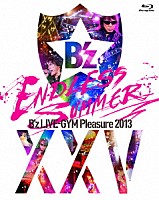 Ｂ’ｚ「 Ｂ’ｚ　ＬＩＶＥ－ＧＹＭ　Ｐｌｅａｓｕｒｅ　２０１３　ＥＮＤＬＥＳＳ　ＳＵＭＭＥＲ　－ⅩⅩⅤ　ＢＥＳＴ－」