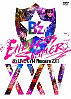 Ｂ’ｚ「 Ｂ’ｚ　ＬＩＶＥ－ＧＹＭ　Ｐｌｅａｓｕｒｅ　２０１３　ＥＮＤＬＥＳＳ　ＳＵＭＭＥＲ　－ⅩⅩⅤ　ＢＥＳＴ－」