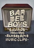 バービーボーイズ「 ＳＡＬＶＡＧＥ　１９８４－１９９２　－ＢＡＲＢＥＥ　ＢＯＹＳ　ＭＵＳＩＣ　ＣＬＩＰＳ－」