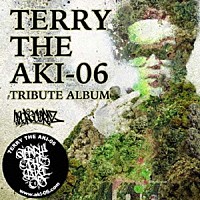 （Ｖ．Ａ．）「 ＴＥＲＲＹ　ＴＨＥ　ＡＫＩ－０６　ＴＲＩＢＵＴＥ　ＡＬＢＵＭ」