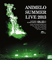 （Ｖ．Ａ．）「 Ａｎｉｍｅｌｏ　Ｓｕｍｍｅｒ　Ｌｉｖｅ　２０１３　ＦＬＡＧ　ＮＩＮＥ　８．２３」