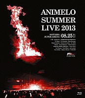 （Ｖ．Ａ．）「 Ａｎｉｍｅｌｏ　Ｓｕｍｍｅｒ　Ｌｉｖｅ　２０１３　ＦＬＡＧ　ＮＩＮＥ　８．２５」