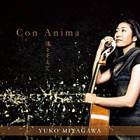 水谷川優子「 ＣＯＮ　ＡＮＩＭＡ～魂をそえて～」