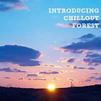 （Ｖ．Ａ．）「 ＩＮＴＲＯＤＵＣＩＮＧ　ＣＨＩＬＬＯＵＴ　ＦＯＲＥＳＴ」