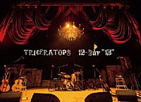 ＴＲＩＣＥＲＡＴＯＰＳ「 １２－Ｂａｒ”１３”」