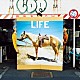 フジファブリック「ＬＩＦＥ」