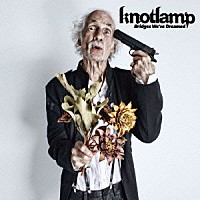 ｋｎｏｔｌａｍｐ「 Ｂｒｉｄｇｅｓ　Ｗｅ’ｖｅ　Ｄｒｅａｍｅｄ」