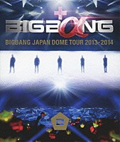 ＢＩＧＢＡＮＧ「 ＢＩＧＢＡＮＧ　ＪＡＰＡＮ　ＤＯＭＥ　ＴＯＵＲ　２０１３～２０１４」