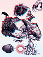 ＤＩＲ　ＥＮ　ＧＲＥＹ「 ＴＯＵＲ１３　ＧＨＯＵＬ」