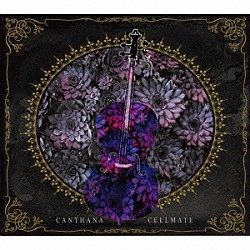 Ｃａｎｔｈａｎａ「Ｃｅｌｌｍａｔｅ」