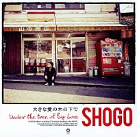 ＳＨＯＧＯ「 大きな愛の木の下で」