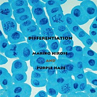 廣瀬真理子とＰｕｒｐｌｅ　Ｈａｚｅ「 Ｄｉｆｆｅｒｅｎｔｉａｔｉｏｎ」