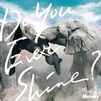 Ｍａｙｄａｙ「 Ｄｏ　Ｙｏｕ　Ｅｖｅｒ　Ｓｈｉｎｅ？」