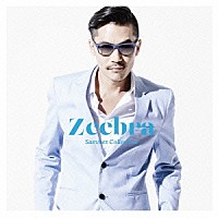 Ｚｅｅｂｒａ「 Ｓｕｍｍｅｒ　Ｃｏｌｌｅｃｔｉｏｎ」