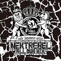 ＢＡＳＳ　ＭＡＳＴＥＲ「 －ＮＥＸＴ　ＲＥＢＥＬ－　ＢＡＳＳ　ＭＡＳＴＥＲ　ＡＬＬ　ＪＡＰＡＮＥＳＥ　ＤＵＢ　ＭＩＸ」