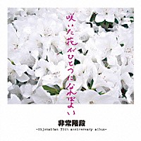 非常階段「 咲いた花がひとつになればよい」