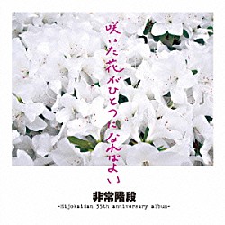 非常階段「咲いた花がひとつになればよい」