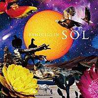 ＰＥＮＩＣＩＬＬＩＮ「 ＳＯＬ」