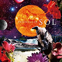 ＰＥＮＩＣＩＬＬＩＮ「 ＳＯＬ」