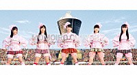 ももいろクローバーＺ「 ももクロ春の一大事２０１４　国立競技場大会　ＮＥＶＥＲ　ＥＮＤＩＮＧ　ＡＤＶＥＮＴＵＲＥ　夢の向こうへ　Ｄａｙ１／Ｄａｙ２　ＤＶＤ　ＢＯＸ」