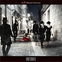 Ａｃｉｄ　Ｂｌａｃｋ　Ｃｈｅｒｒｙ 「ＩＮＣＵＢＵＳ　－インキュバス－」