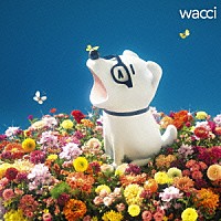 ｗａｃｃｉ「 キラメキ」