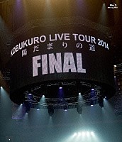 コブクロ「 ＫＯＢＵＫＵＲＯ　ＬＩＶＥ　ＴＯＵＲ　２０１４　陽だまりの道　ＦＩＮＡＬ　ａｔ　京セラドーム大阪」